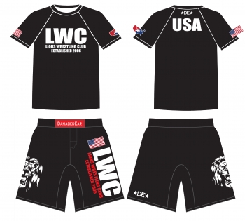 detail_1450_LWC_SUb_gear.jpg