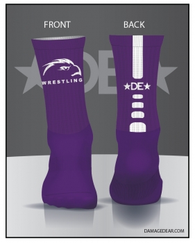 detail_3499_Anacortes_Hawkeyes_socks-02.jpg