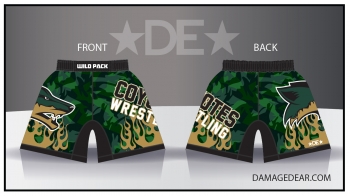 detail_3722_Skyline_Coyotes_Store-03.jpg