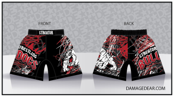 detail_5010_STREATOR_WRESTLING_BULLDOGS_STORE-03.jpg