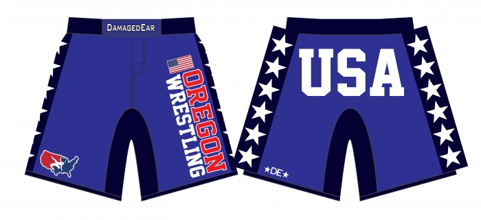Download Traditional Fight Shorts