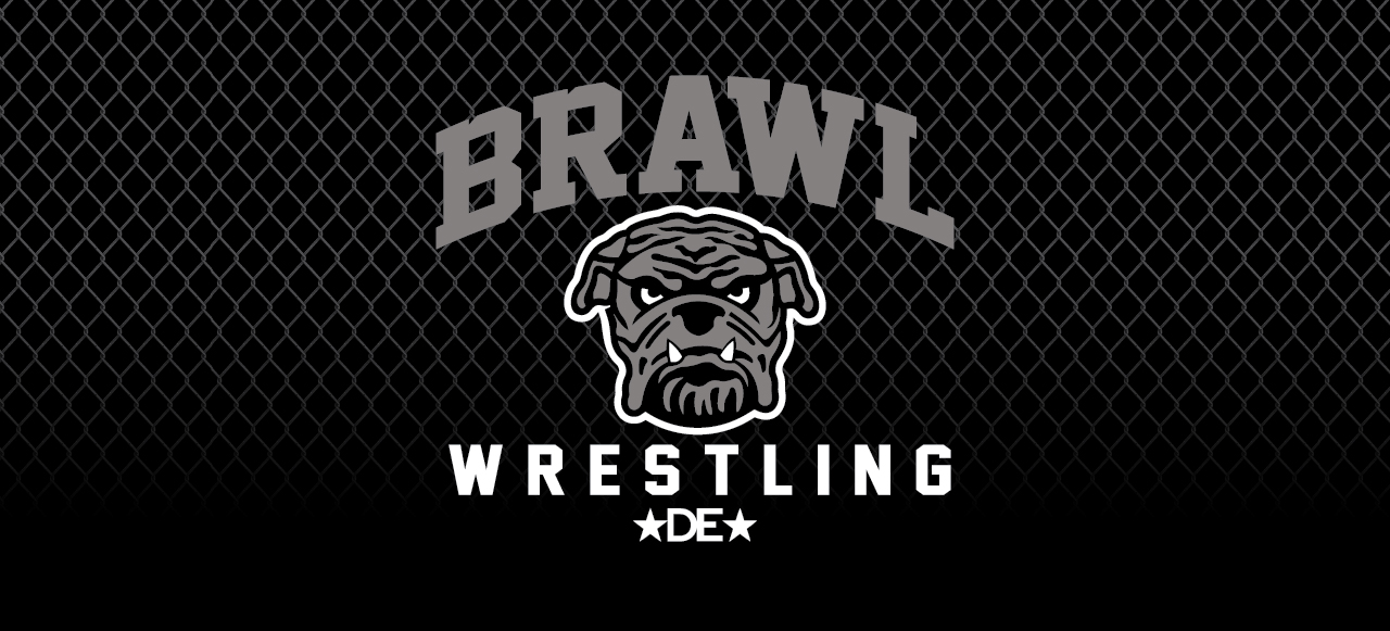 Brawl Wrestling Store