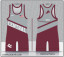 Central Lions Wrestling Singlet