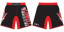 Lowell Fight Shorts
