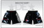 Est. Since Day One Mens Fight Shorts