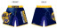 Wy'East Mens Fight Shorts